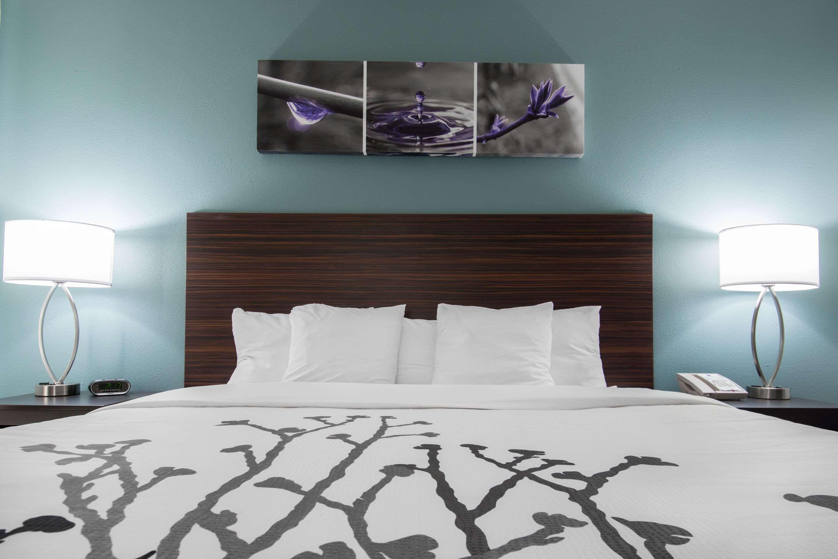 Sleep Inn & Suites Washington Near Peoria Exteriör bild